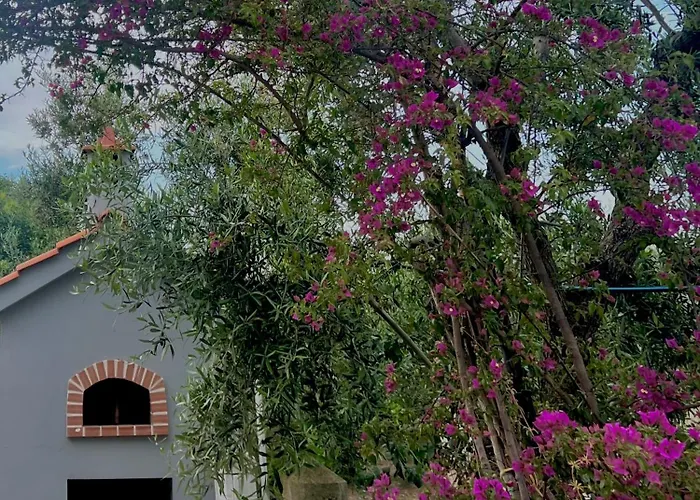 Villa Rita