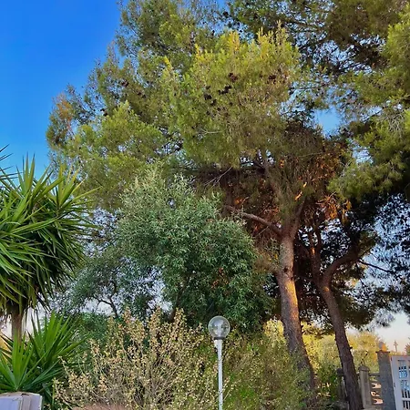 Villa Rita Corato Exterior photo